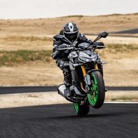 Z1100 SE