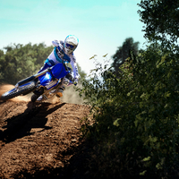 YZ250