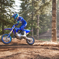 YZ65