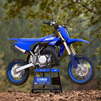 YZ65