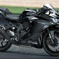 NINJA ZX-4R