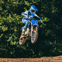 YZ65