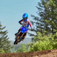YZ65