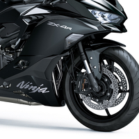 Ninja ZX-4R