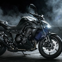 Z1100