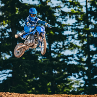 YZ65
