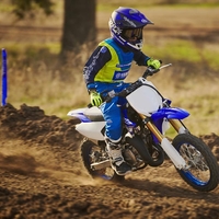 YZ65