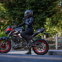 Z500 SE