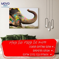 הדפסה על קנבס 60/80