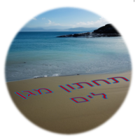 חיתול תחתון מגן רב פעמי לבריכה - מידה L