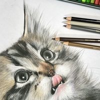 סט עפרונות 36 גוונים של חברת Faber Castell מסוג Polychromos