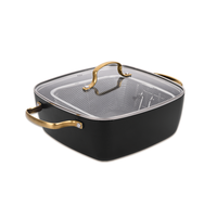 סיר טיגון 24 ס