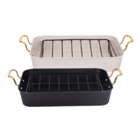 תבנית צלייה עם רשת SAPIR