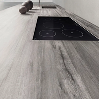 אריח גרניט פורצלן 1000*3000 Legno Venezia Fumo