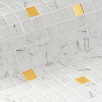 פסיפס לבריכה Carrara Gold 25