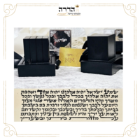תפילין מהודרות א.א. זהב