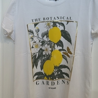 טישרט בוטיניקה