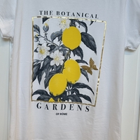 טישרט בוטיניקה