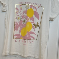 טישרט בוטיניקה