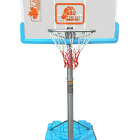 מתקן סל לבריכה Z60 CANADA POOL קנדה