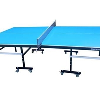שולחן טניס OUTDOOR CHAMPION 500 רוברטו פרה