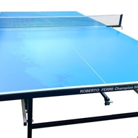 שולחן טניס OUTDOOR CHAMPION 500 רוברטו פרה