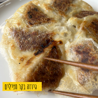 גיוזה בעבודת יד במילוי בקר וחצילים - 10 יחידות