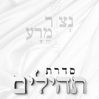 חולצות תהילים