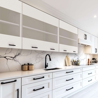 ארון שירות עליון למטבח ברוחב 80 דלתות משולבות זכוכית חלבית דגם נטע NETA