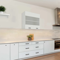 ארון שירות עליון למטבח ברוחב 80 ס