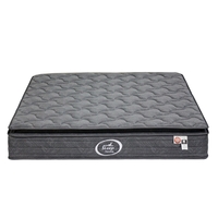 מזרן זוגי אורתופדי עם קפיצים מבודדים ופילוטופ דגם סליפטק SLEEPTECH