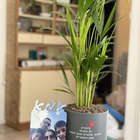 עציץ בהקדשה אישית
