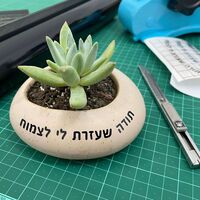 עציץ קטן