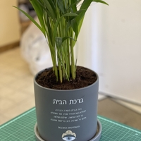 עציץ בהקדשה אישית