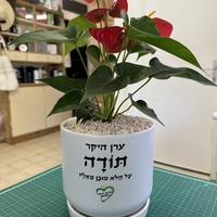 עציץ בהקדשה אישית