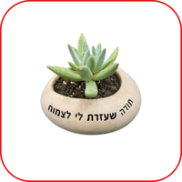 עציץ קטן