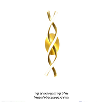 סליל קיר | גוף תאורה קיר מודרני בעיצוב סליל מפותל