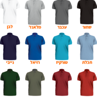פולו