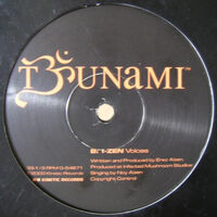 X-Dream / I.Zen – Tsunami Sampler 1
