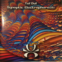 Toï Doï – Synaptic Electrophoresis