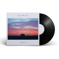 רביד פלוטניק- הדרך לשביל הזהב