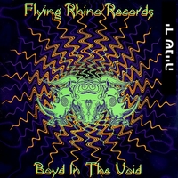 Various – Boyd In The Void
