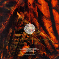 Virtuart – Time Cruncher / Tetragrematon