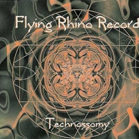 Technossomy – Make It Fit