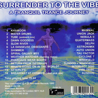 Surrender To The Vibe