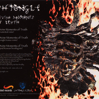 Shpongle – Divine Moments Of Truth CD