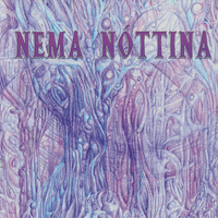 Various – Nema Nóttina