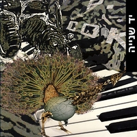 P. Cok – Low Tea Drum Add / Traktor
