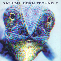 Various – Natural Born Techno 2