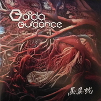 Gaida– Guidance